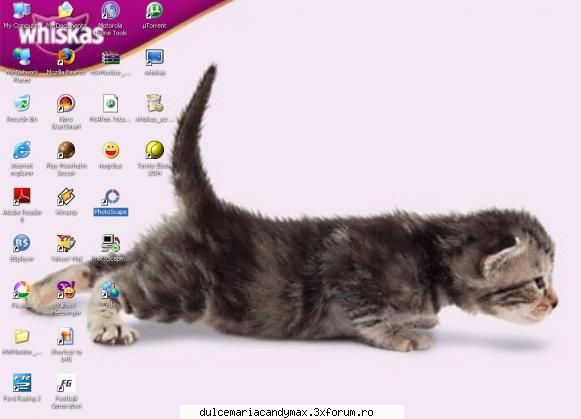 nota pentru desktop - Juegos